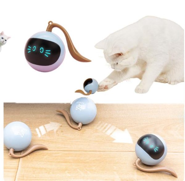 Cat Toys Magic Fitness Ball Fofos Two Lucky Raccoon Balls
